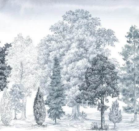 Обои Loymina Пейзаж vol. 2 ART14 006 в Самаре