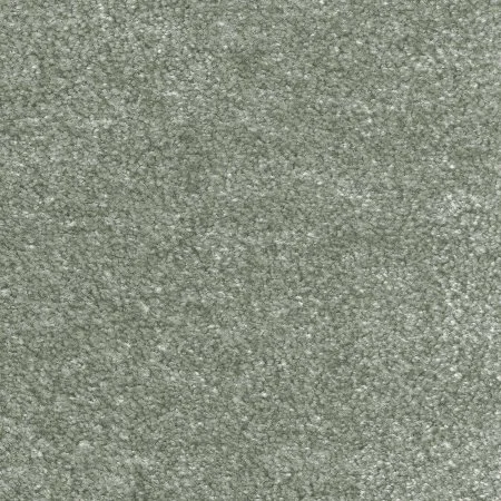 Ковровое покрытие AW Euphoria 28 - (4м) в Самаре