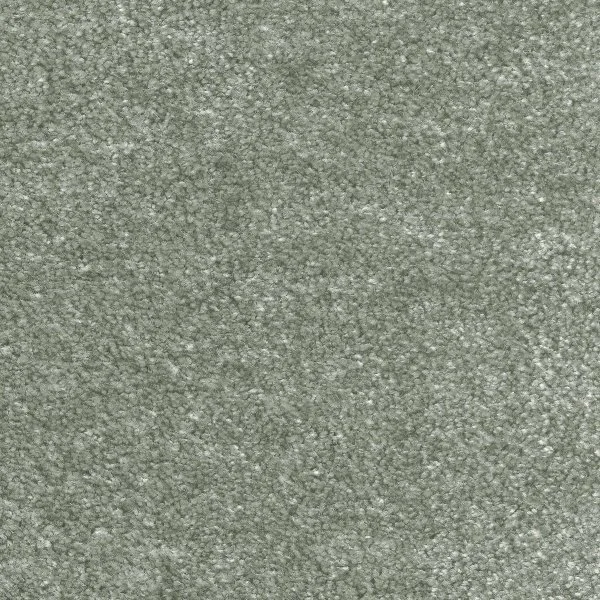 Ковровое покрытие AW Euphoria 28 - (5м) в Самаре