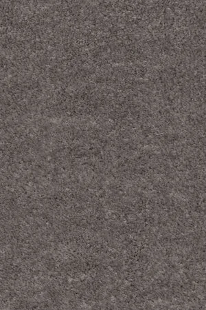 Ковровое покрытие AW Euphoria 45 - (4м) в Самаре