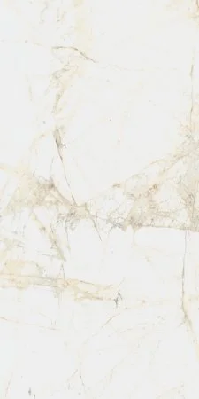 Керамогранит Coliseum Канова Уайт 60х120 (Натуральный и Реттифицированный) в Самаре