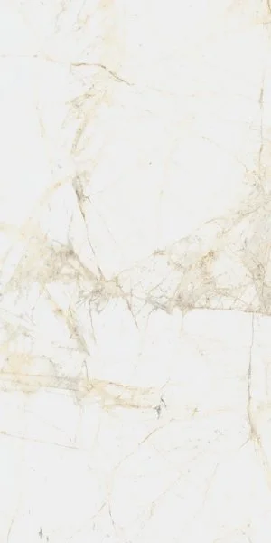 Керамогранит Coliseum Канова Уайт 60х120 (Натуральный и Реттифицированный) в Самаре