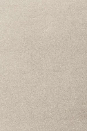 Ковровое покрытие AW Oinone 39 - (5м) в Самаре