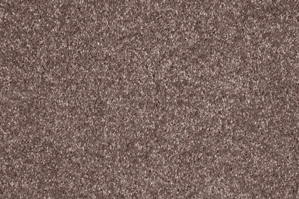 Ковровое покрытие AW Gala 60 - (5м) в Самаре