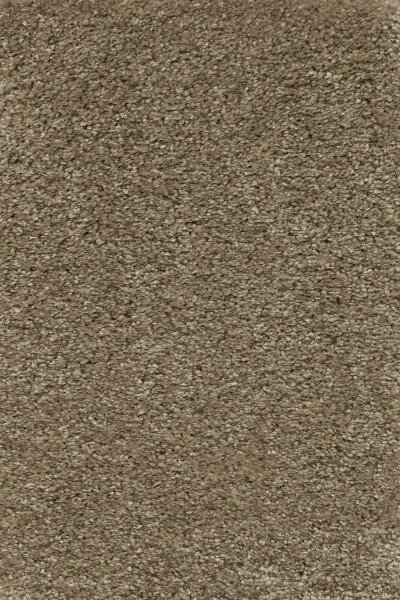 Ковровое покрытие AW Certosa 35 - (5м) в #REGION_NAME_DECLINE_PP#